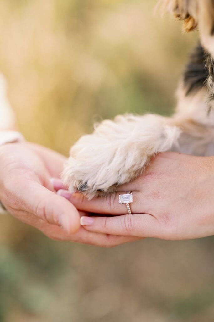 Lincoln Park Chicago Engagement Photos with dog paw